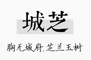 城芝名字的寓意及含义