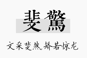 斐惊名字的寓意及含义