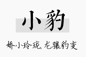 小豹名字的寓意及含义