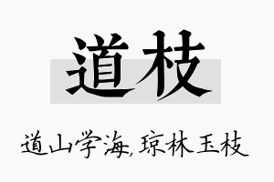 道枝名字的寓意及含义