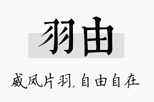 羽由名字的寓意及含义