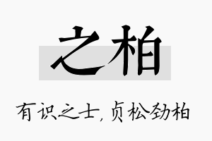 之柏名字的寓意及含义