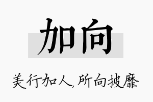 加向名字的寓意及含义