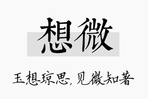 想微名字的寓意及含义