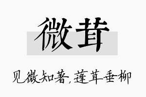 微茸名字的寓意及含义