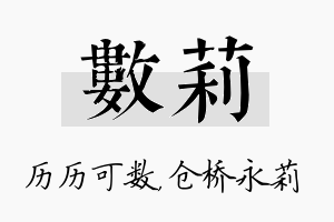 数莉名字的寓意及含义