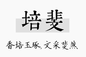 培斐名字的寓意及含义