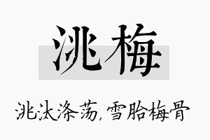 洮梅名字的寓意及含义