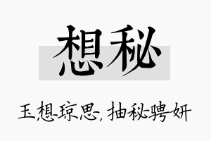 想秘名字的寓意及含义