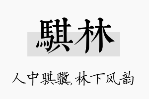 骐林名字的寓意及含义