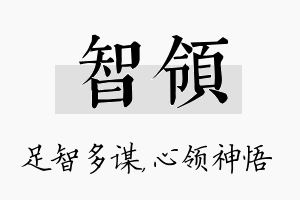 智领名字的寓意及含义