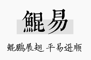 鲲易名字的寓意及含义