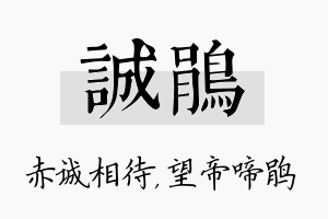 诚鹃名字的寓意及含义