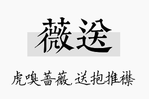 薇送名字的寓意及含义