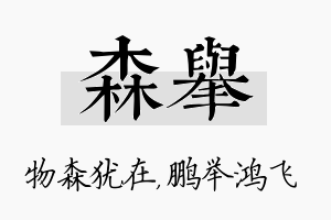 森举名字的寓意及含义