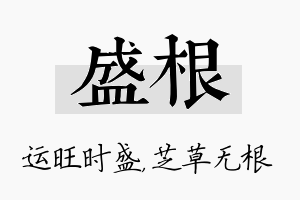 盛根名字的寓意及含义