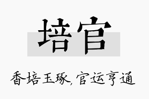 培官名字的寓意及含义