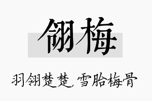 翎梅名字的寓意及含义