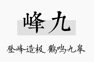 峰九名字的寓意及含义