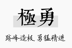 极勇名字的寓意及含义