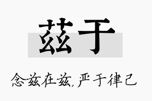 兹于名字的寓意及含义