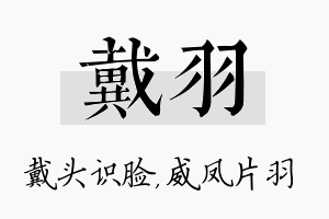 戴羽名字的寓意及含义