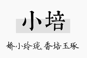 小培名字的寓意及含义