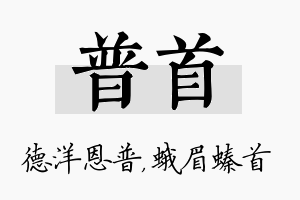 普首名字的寓意及含义