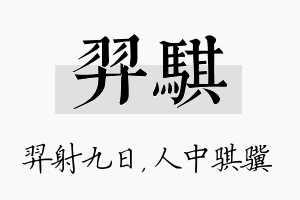 羿骐名字的寓意及含义