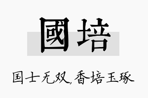 国培名字的寓意及含义