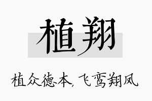 植翔名字的寓意及含义