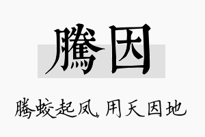 腾因名字的寓意及含义