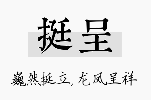 挺呈名字的寓意及含义