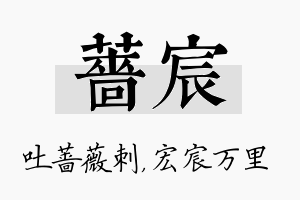 蔷宸名字的寓意及含义