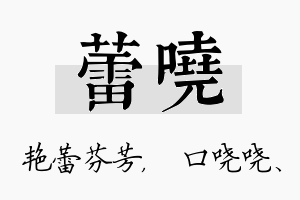 蕾哓名字的寓意及含义