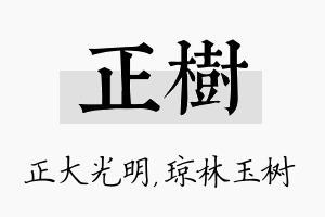 正树名字的寓意及含义