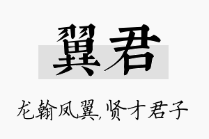 翼君名字的寓意及含义