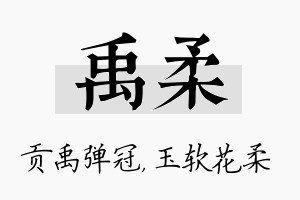 禹柔名字的寓意及含义