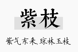 紫枝名字的寓意及含义