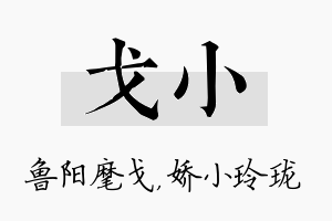 戈小名字的寓意及含义