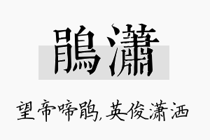 鹃潇名字的寓意及含义