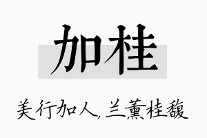 加桂名字的寓意及含义