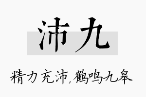 沛九名字的寓意及含义