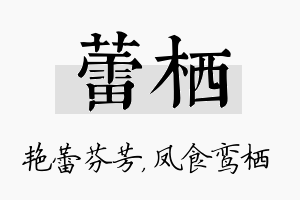 蕾栖名字的寓意及含义