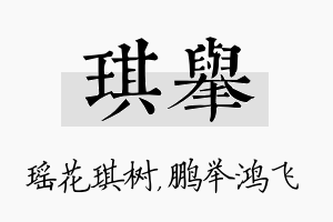 琪举名字的寓意及含义