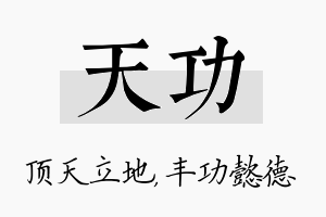 天功名字的寓意及含义