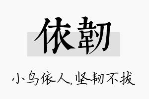 依韧名字的寓意及含义