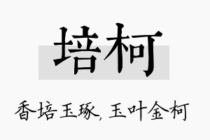 培柯名字的寓意及含义