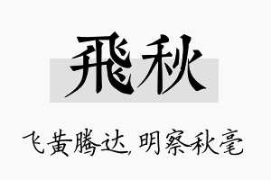 飞秋名字的寓意及含义