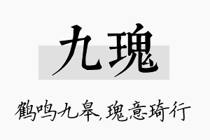 九瑰名字的寓意及含义